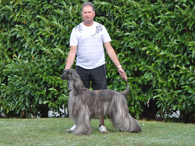 layana  Abd el ahiraz